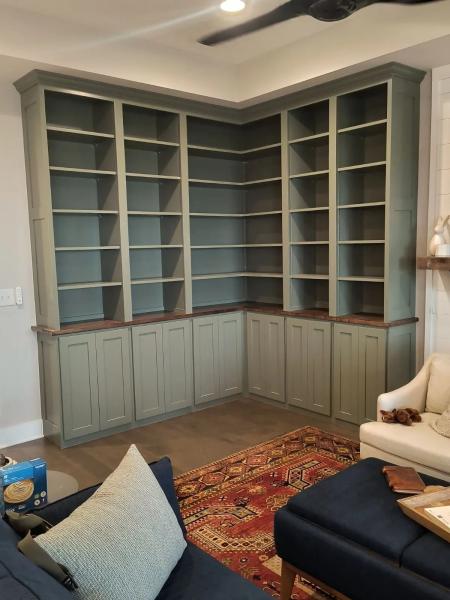 Painted bookshelves